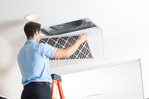 Best Air Filters and Purifiers in Chestnut Ridge, NY